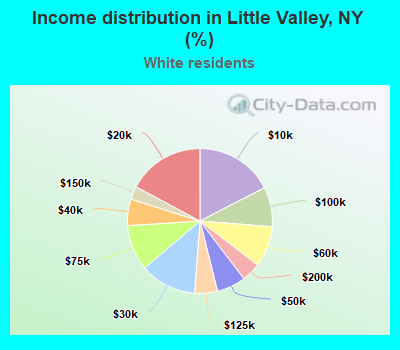 Income distribution in Little Valley, NY (%)