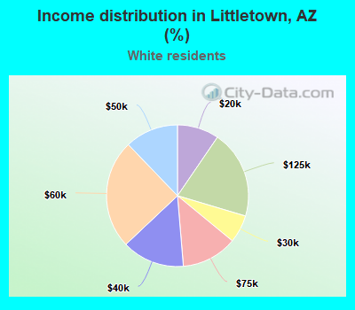 Income distribution in Littletown, AZ (%)