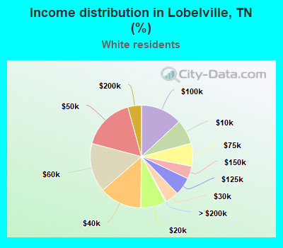 Income distribution in Lobelville, TN (%)