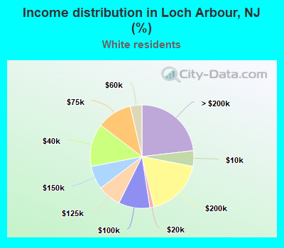 Income distribution in Loch Arbour, NJ (%)