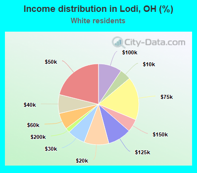 Income distribution in Lodi, OH (%)