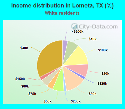 Income distribution in Lometa, TX (%)