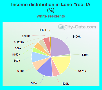 Income distribution in Lone Tree, IA (%)