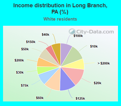 Income distribution in Long Branch, PA (%)