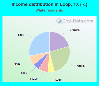 Income distribution in Loop, TX (%)