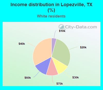 Income distribution in Lopezville, TX (%)
