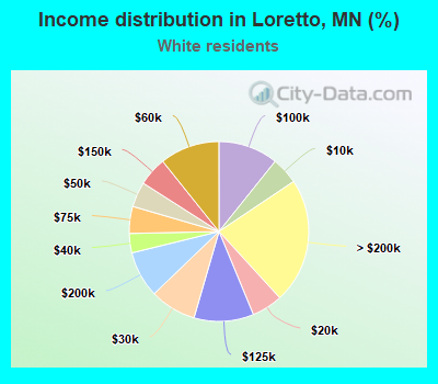 Income distribution in Loretto, MN (%)