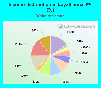 Income distribution in Loyalhanna, PA (%)