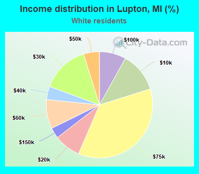Income distribution in Lupton, MI (%)