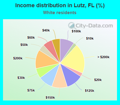 Income distribution in Lutz, FL (%)