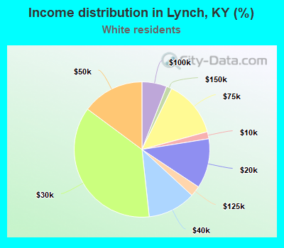 Income distribution in Lynch, KY (%)