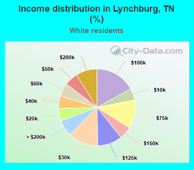 Income distribution in Lynchburg, TN (%)