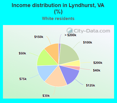 Income distribution in Lyndhurst, VA (%)