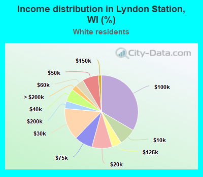 Income distribution in Lyndon Station, WI (%)