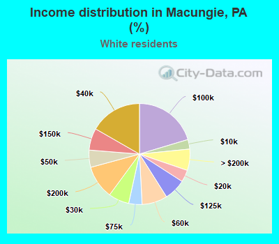 Income distribution in Macungie, PA (%)