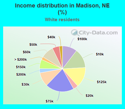 Income distribution in Madison, NE (%)