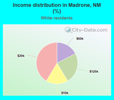 Income distribution in Madrone, NM (%)