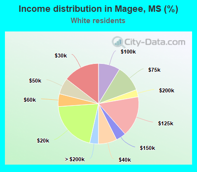 Income distribution in Magee, MS (%)