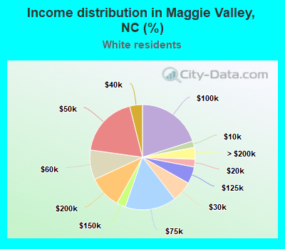 Income distribution in Maggie Valley, NC (%)