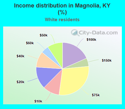 Income distribution in Magnolia, KY (%)