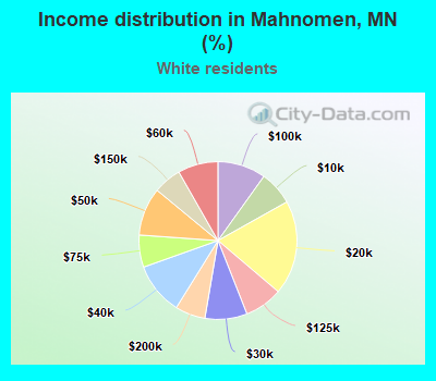 Income distribution in Mahnomen, MN (%)