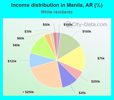 Income distribution in Manila, AR (%)