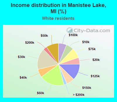 Income distribution in Manistee Lake, MI (%)