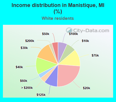 Income distribution in Manistique, MI (%)
