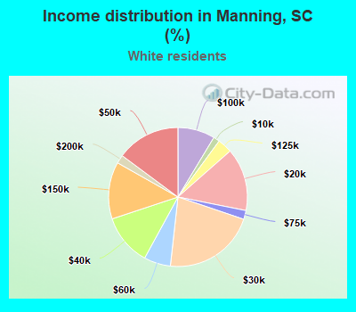 Income distribution in Manning, SC (%)
