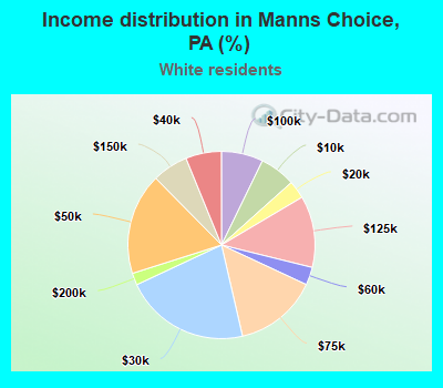 Income distribution in Manns Choice, PA (%)