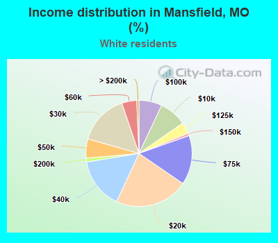 Income distribution in Mansfield, MO (%)