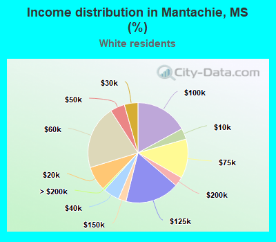 Income distribution in Mantachie, MS (%)