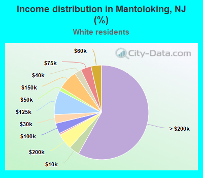 Income distribution in Mantoloking, NJ (%)