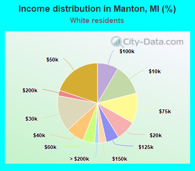 Income distribution in Manton, MI (%)