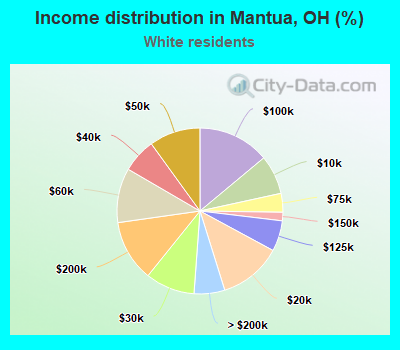 Income distribution in Mantua, OH (%)