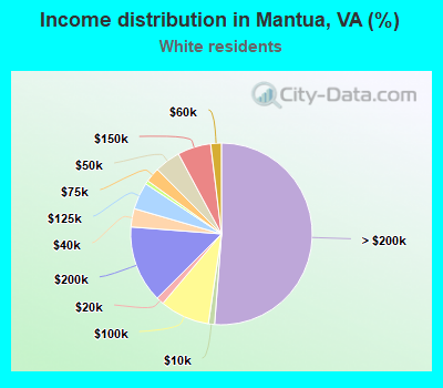 Income distribution in Mantua, VA (%)