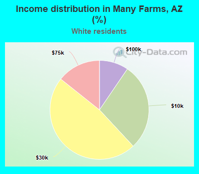 Income distribution in Many Farms, AZ (%)