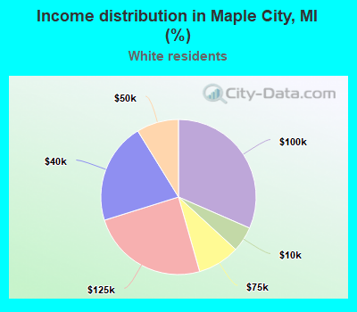 Income distribution in Maple City, MI (%)