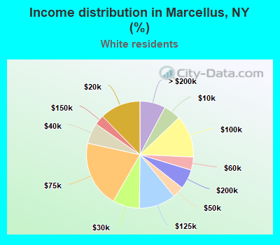 Income distribution in Marcellus, NY (%)