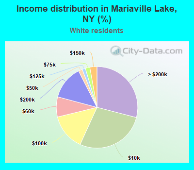 Income distribution in Mariaville Lake, NY (%)