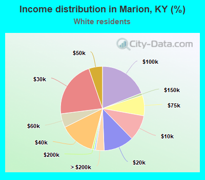 Income distribution in Marion, KY (%)