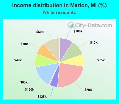 Income distribution in Marion, MI (%)