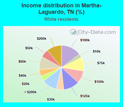 Income distribution in Martha-Laguardo, TN (%)
