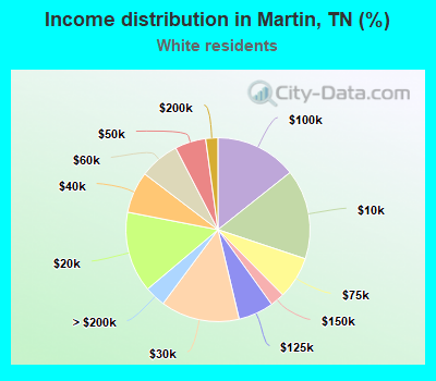 Income distribution in Martin, TN (%)