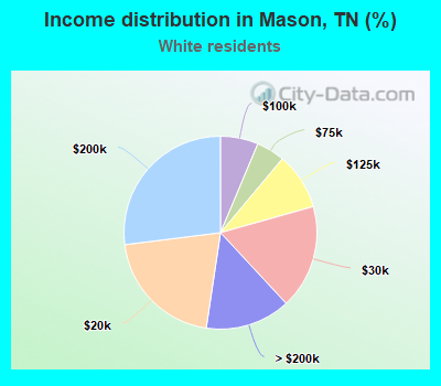 Income distribution in Mason, TN (%)
