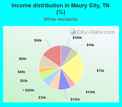 Income distribution in Maury City, TN (%)