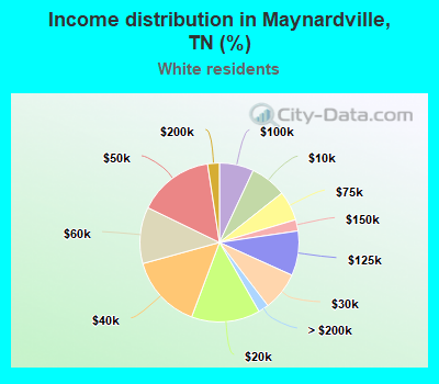 Income distribution in Maynardville, TN (%)