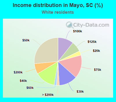 Income distribution in Mayo, SC (%)