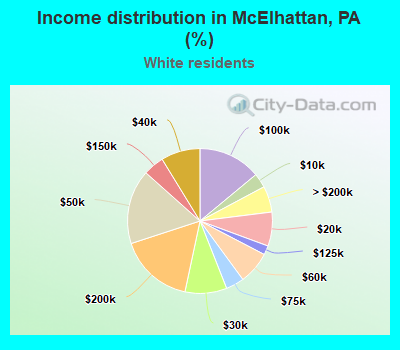 Income distribution in McElhattan, PA (%)