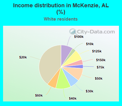 Income distribution in McKenzie, AL (%)